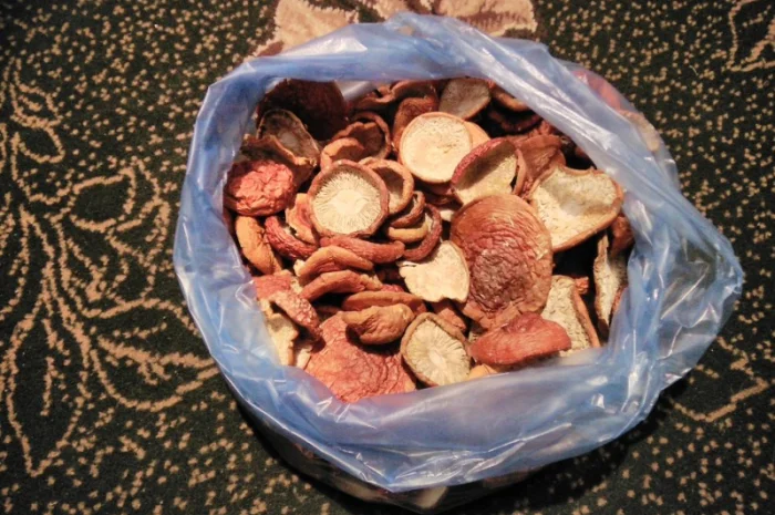 Оптом продам шляпки красного мухомора- фото № 1