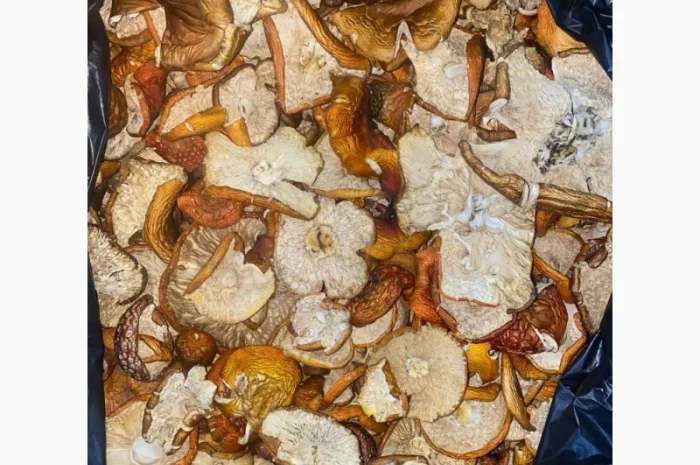 Продам мухомор червоний- фото № 2