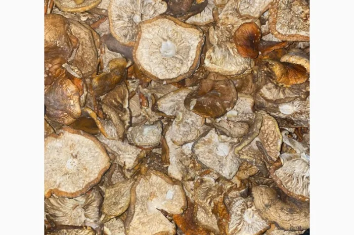 Продам мухомор червоний- фото № 8