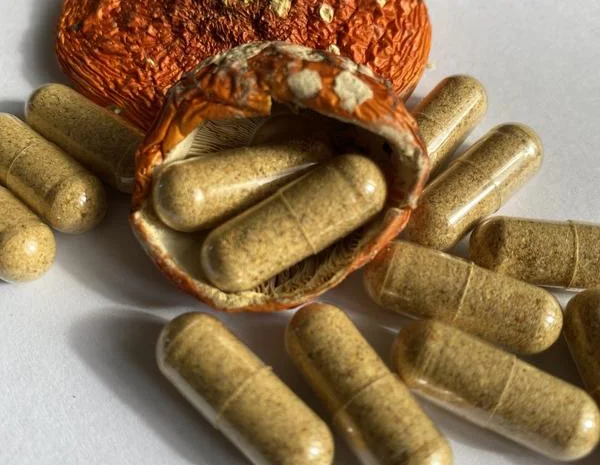 Микродозинг мухомора красного, Продам шляпки, порошок, капсулы- фото № 2