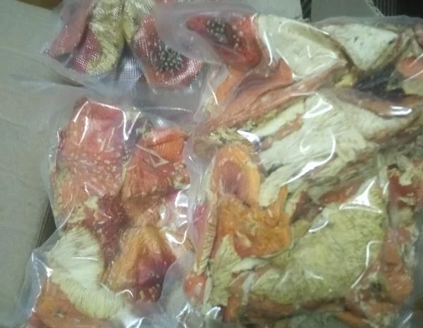 Микродозинг мухомора красного, Продам шляпки, порошок, капсулы- фото № 3