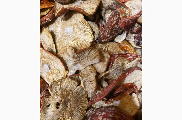 Продаю сушені гриби, мухомори- фото № 2