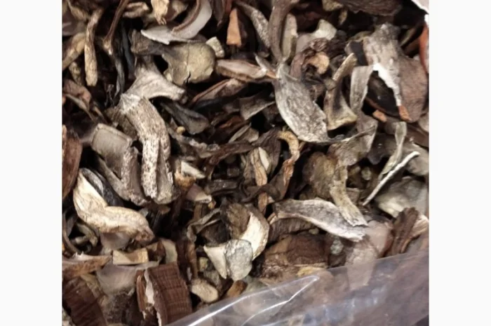 Куплю оптом козар підберезник підосичник дорого- фото № 2