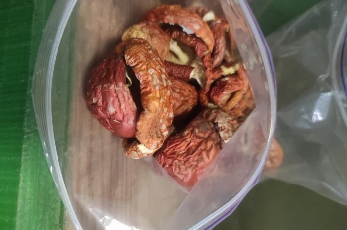 Продам червоний мухомор- фото № 1