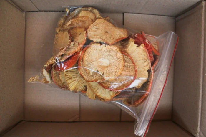 Мухомор червоний Amanita muscaria першого сорту- фото № 2