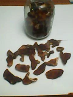 Продам грибы- фото № 1