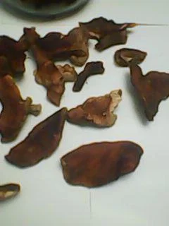 Продам грибы- фото № 2