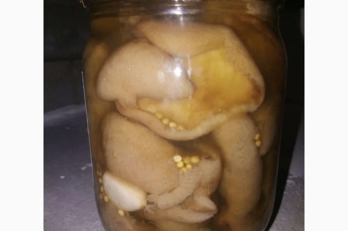 Продам грибы- фото № 3