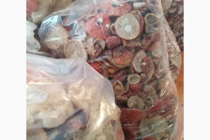 Продам карпатський сушений в вакуумі мухомор- фото № 3