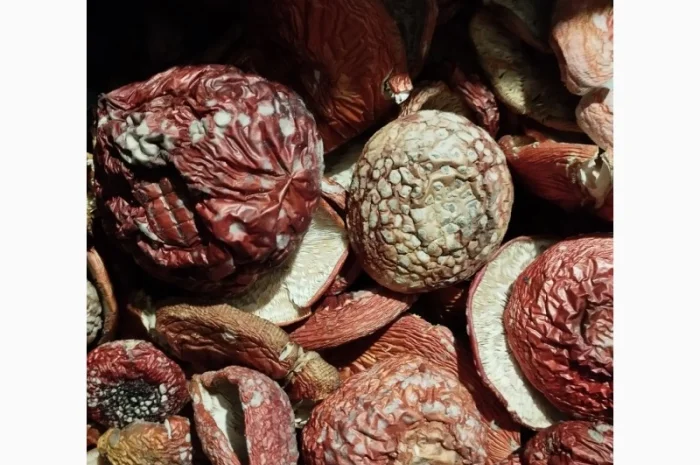 Сушені червоні мухомори на продаж- фото № 3