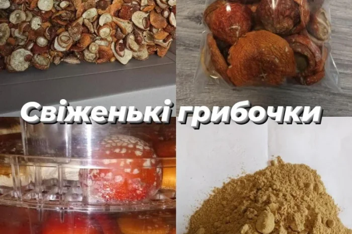 Мухомори опт/роздріб- фото № 2