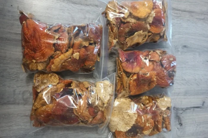 Мухомори опт/роздріб- фото № 3