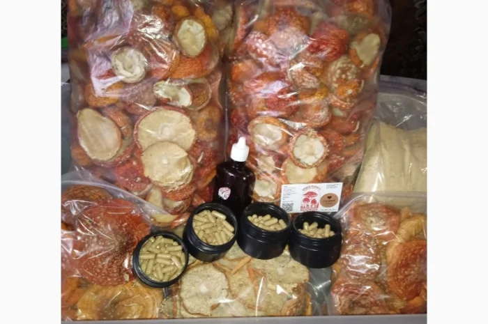 Продам сухі шляпки червоного мухомора- фото № 1