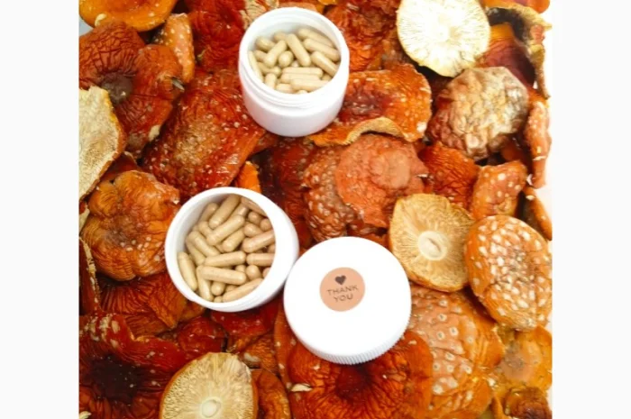 Продам сухі шляпки червоного мухомора- фото № 2