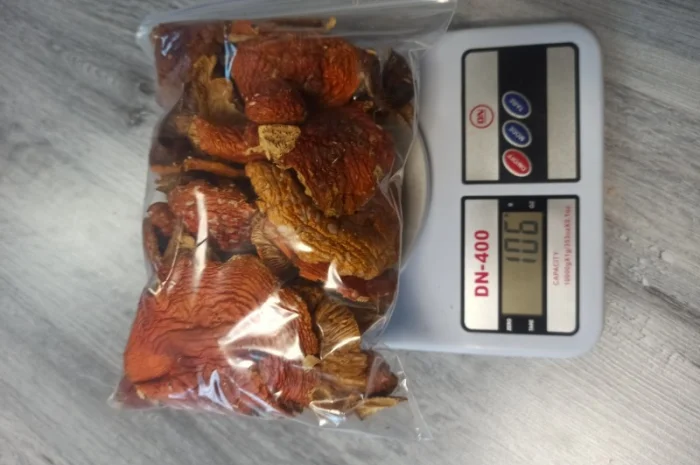 Сушені мухомори опт/роздріб- фото № 1