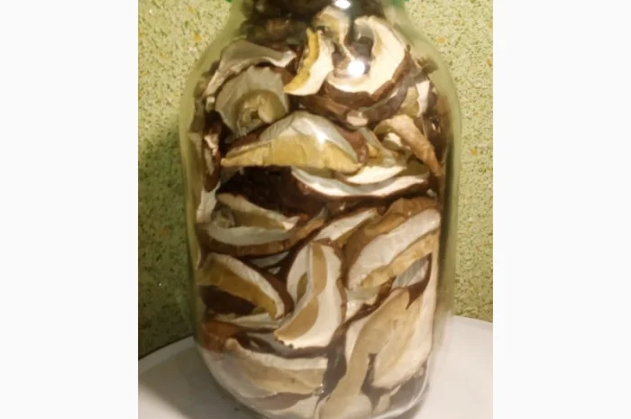 Молоді шапочки білі/белые гриби першого сорту сушені з Карпат (білий/белый гриб)- фото № 4