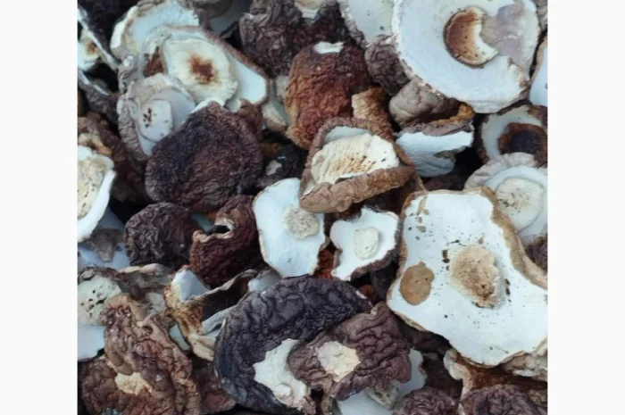 Продам шапочку білого гриба- фото № 2