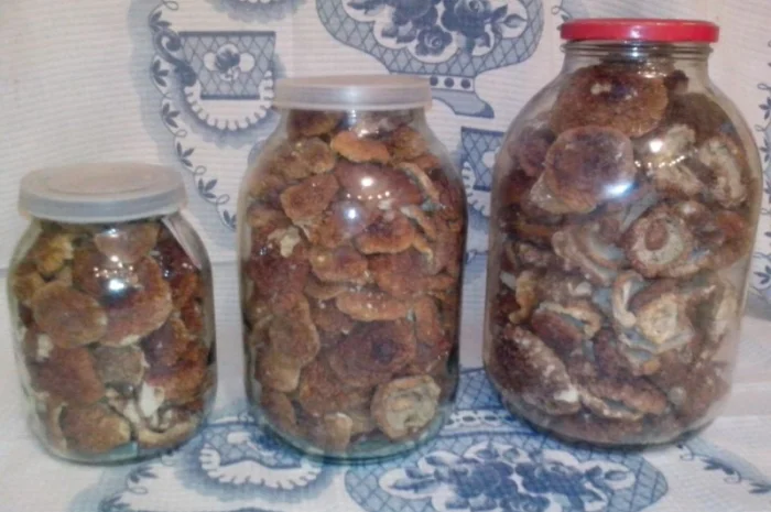 Продаж білих грибів, урожай 2024 року- фото № 1