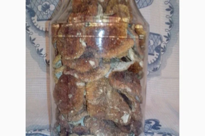 Продаж білих грибів, урожай 2024 року- фото № 3