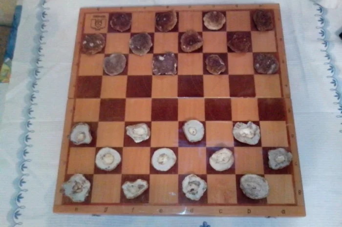 Продаж білих грибів, урожай 2024 року- фото № 4