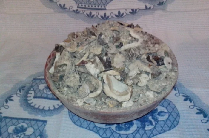 Гриби білі сушені з Карпат- фото № 2