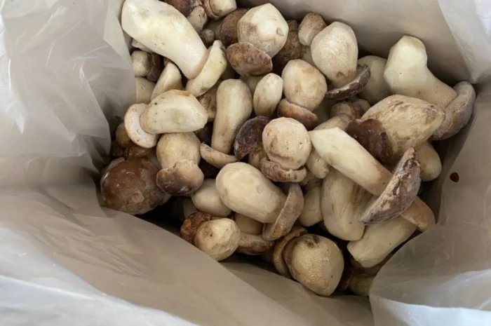 Гриби білі заморожені перший сорт осінь 2024р Закарпаття- фото № 1