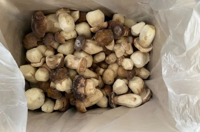 Продажа белых замороженных грибов первого сорта- фото № 2