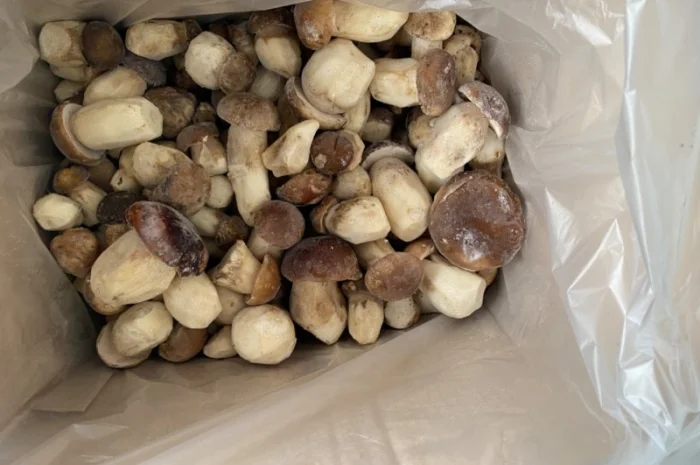 Гриби білі заморожені перший сорт осінь 2024р Закарпаття- фото № 3