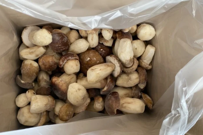 Гриби білі заморожені перший сорт осінь 2024р Закарпаття- фото № 4