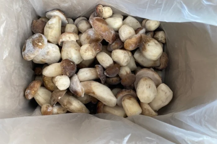 Гриби білі заморожені перший сорт осінь 2024р Закарпаття- фото № 5