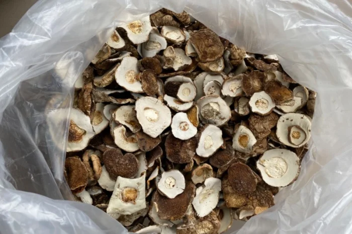 Сушена шапочка білого гриба! 2800грн- фото № 1
