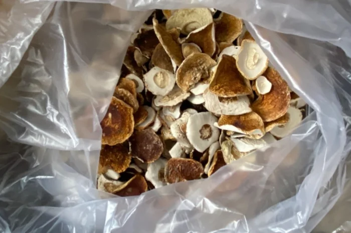 Сушена шапочка білого гриба! 2800грн- фото № 2