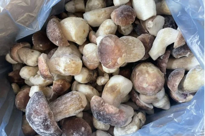 Купуємо заморожені білі гриби- фото № 1