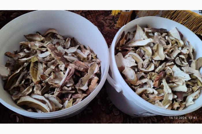 Сушені білі гриби першого сорту- фото № 2