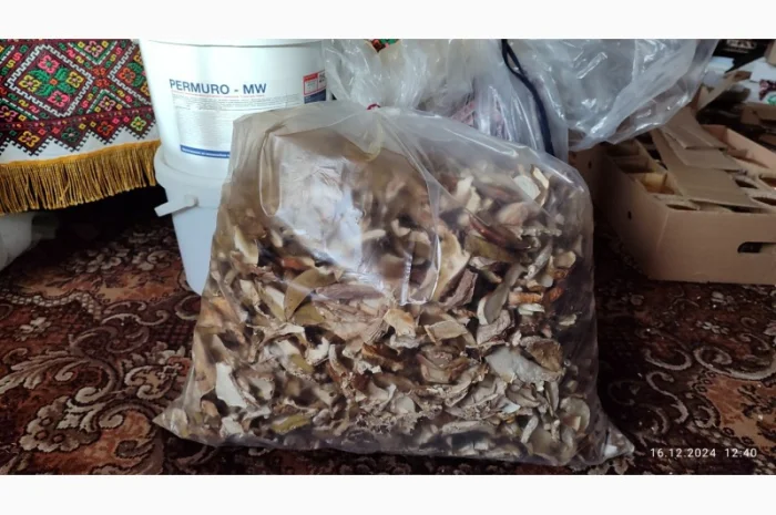 Сушені білі гриби першого сорту- фото № 3