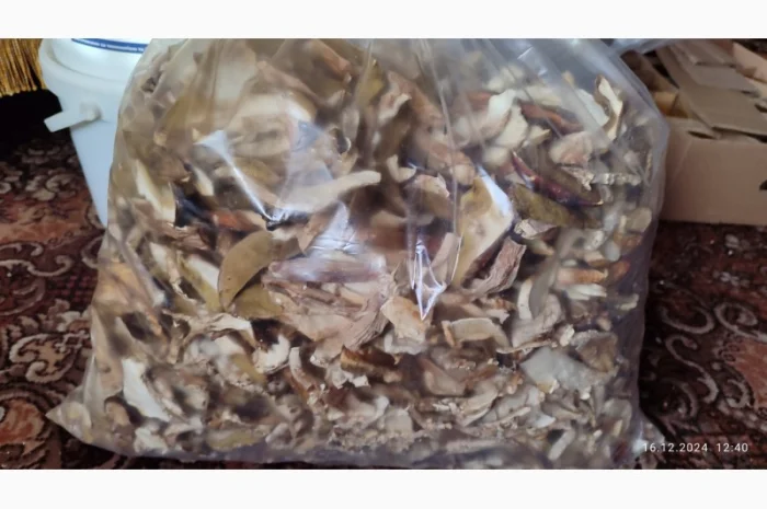 Сушені білі гриби першого сорту- фото № 4