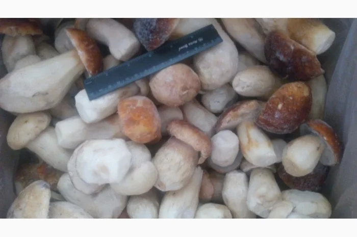 Продажа белых грибов шоковой заморозки- фото № 1