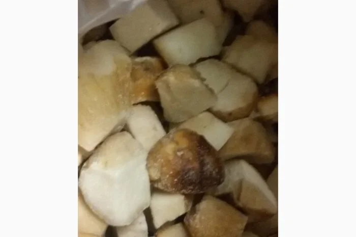 Гриб білий кубик на продажу- фото № 1