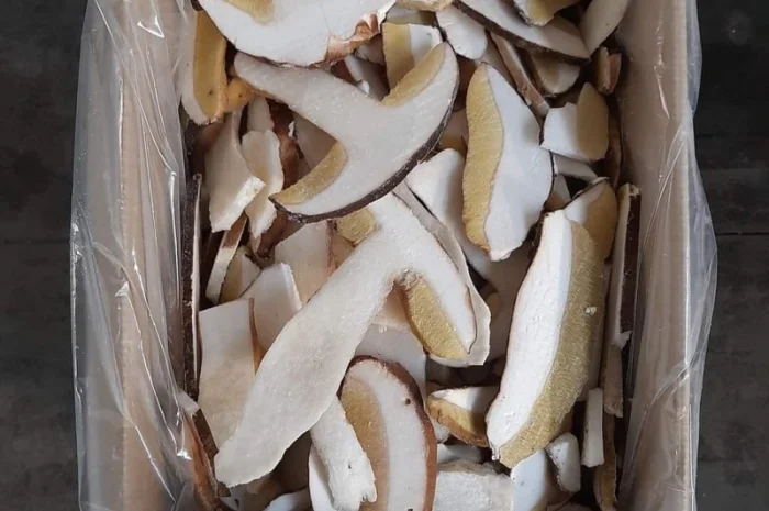 Куплю білі гриби, лисички- фото № 1