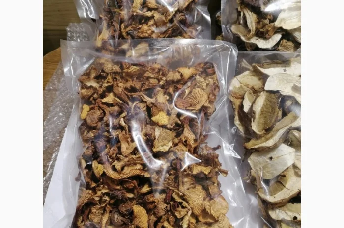 Сушені білі гриби та лисички на продаж- фото № 4