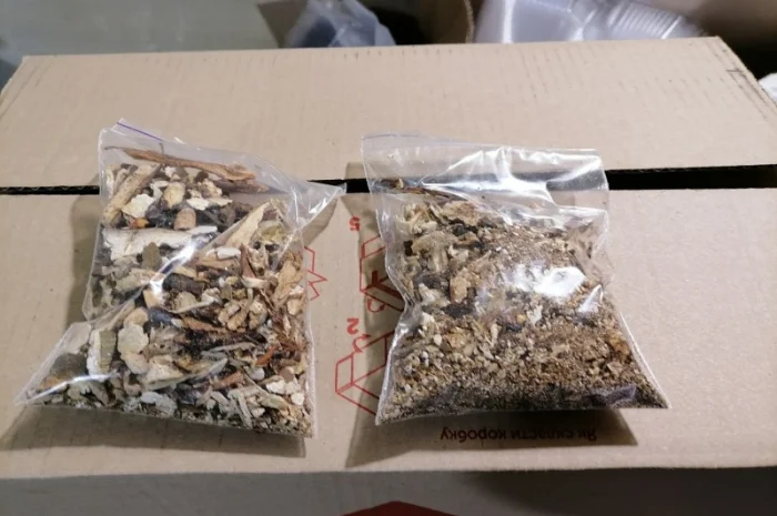 Сушені білі гриби та лисички на продаж- фото № 5