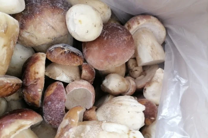 Продаю морожені білі гриби- фото № 1