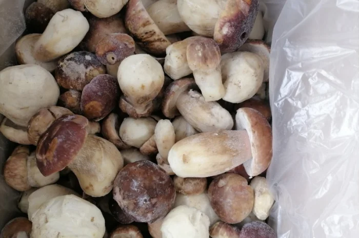 Продаю морожені білі гриби- фото № 3