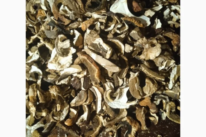 Продаж білих грибів- фото № 1