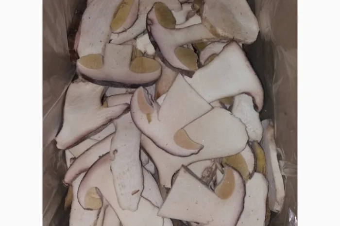 Продаємо гриби лісові білі, лисички, опеньки (свіжі, сушені, заморожені, мариновані)- фото № 1