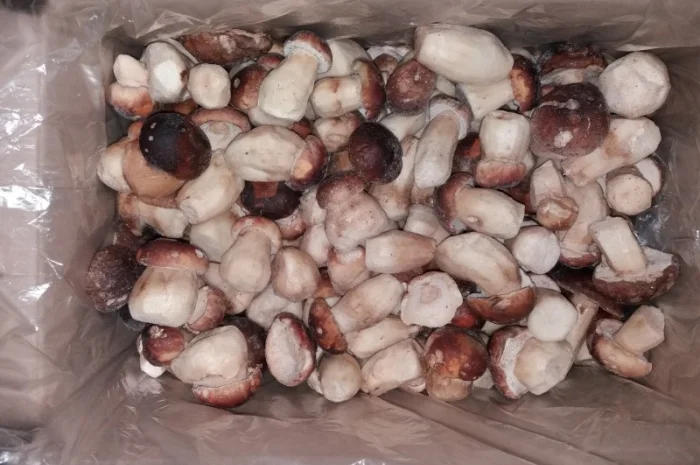 Продажа белых грибов свежих и замороженных- фото № 2