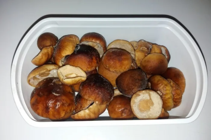 Шапочки білих грибів в упаковці по 9 лоточків- фото № 1