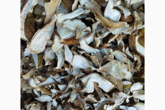 Сушеные белые грибы 1 сорт из Закарпатья- фото № 1