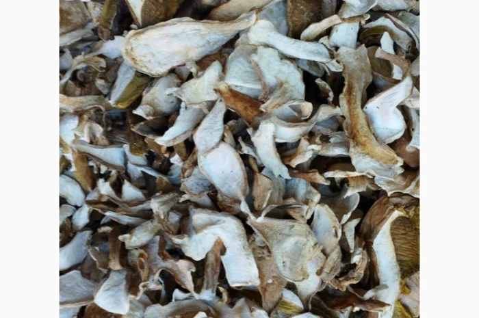 Сушені білі гриби із Закарпаття 2022 білі 1 сорт ціни вказані за 1 кг- фото № 1