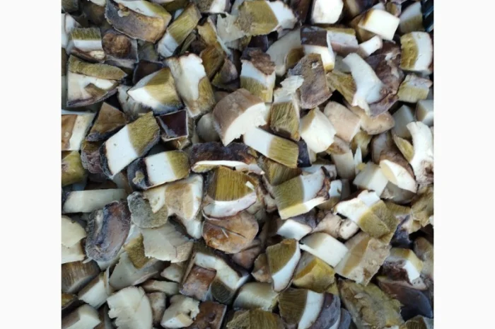 Кубик білого гриба- фото № 1